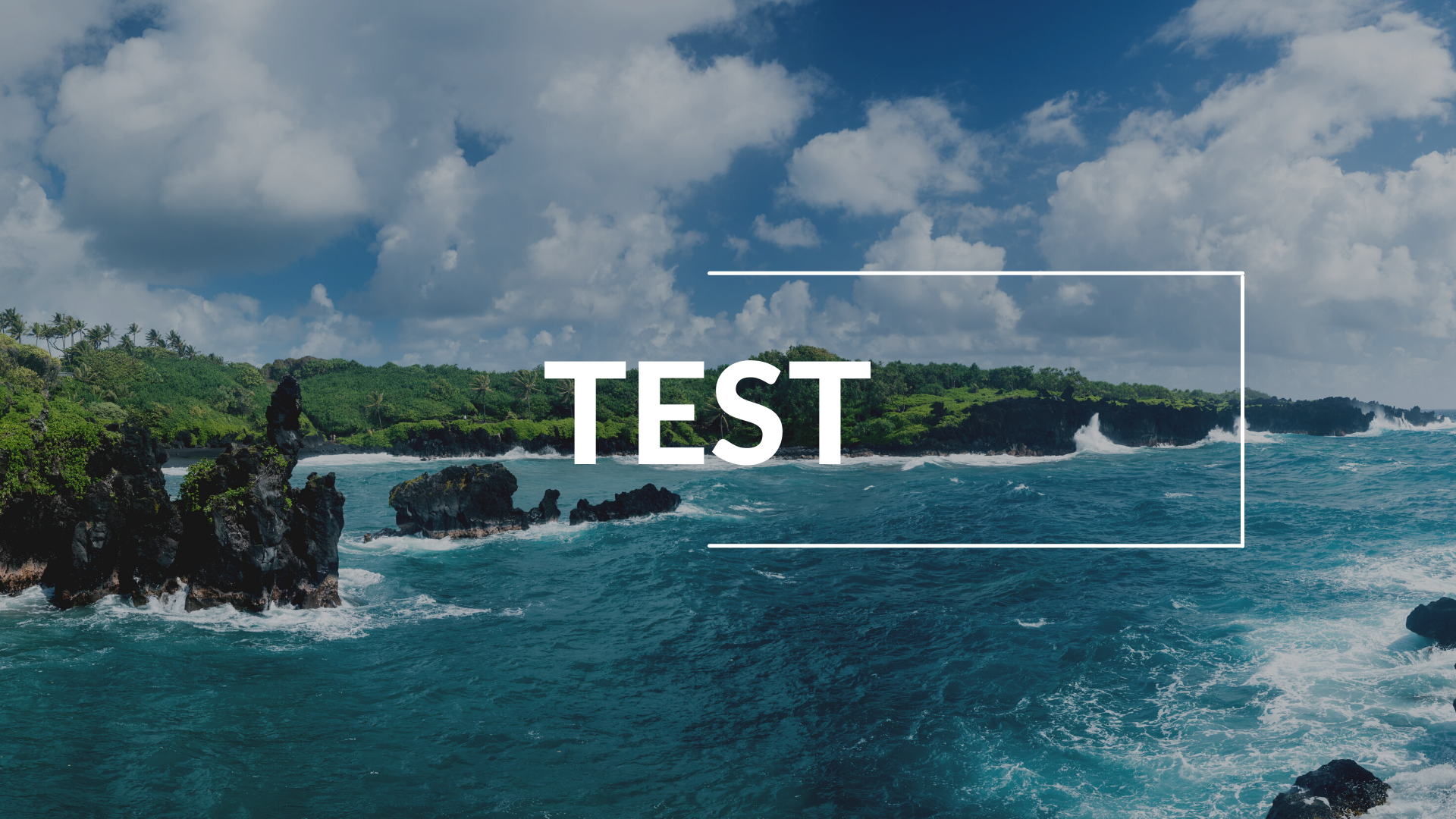 Test Website-Cover